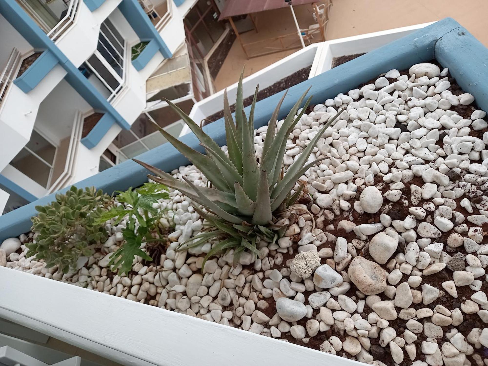 Cousy Holiday Apartment In Sunny Golf Del Sur ซานมิเกลเดียโบนา ภายนอก รูปภาพ